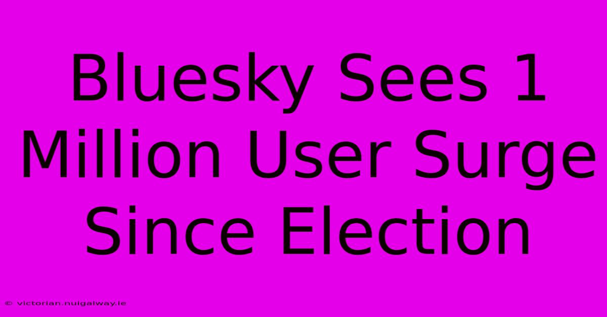 Bluesky Sees 1 Million User Surge Since Election