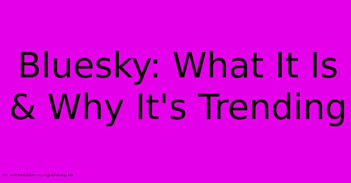 Bluesky: What It Is & Why It's Trending