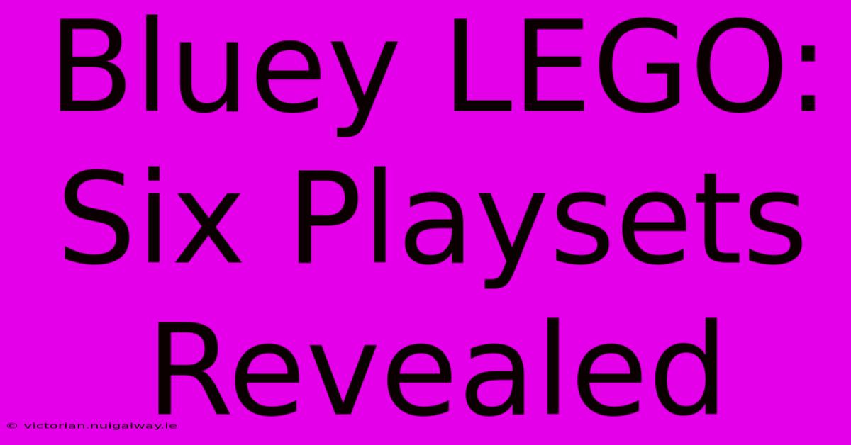 Bluey LEGO: Six Playsets Revealed