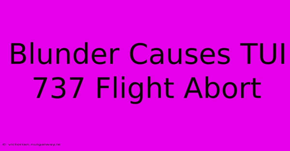 Blunder Causes TUI 737 Flight Abort