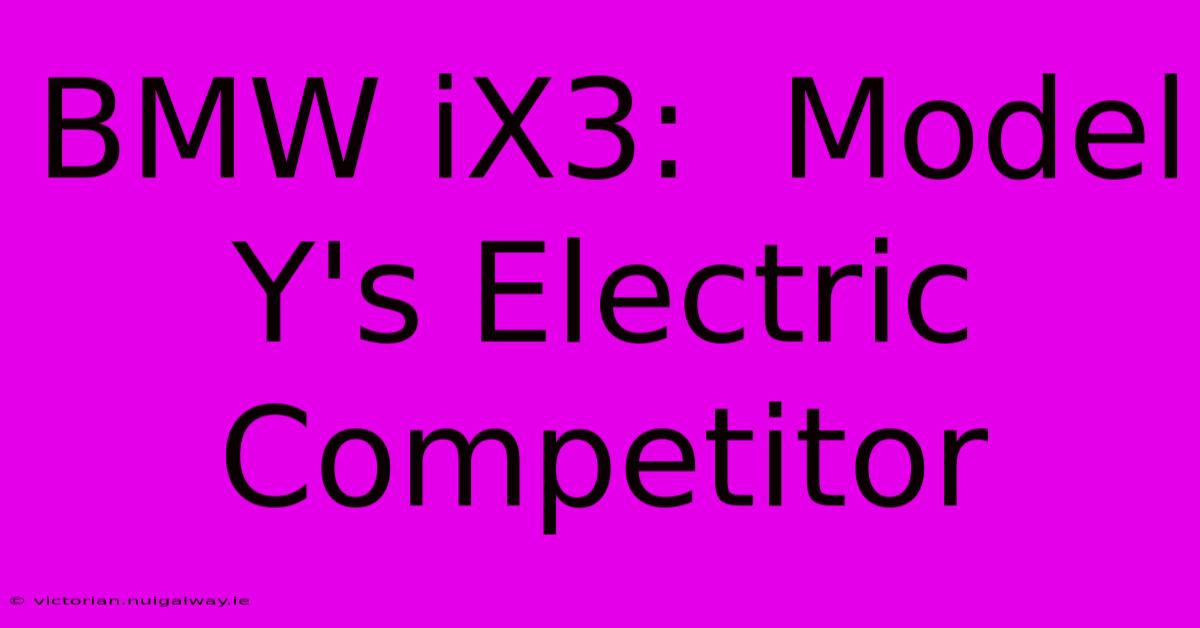 BMW IX3:  Model Y's Electric Competitor