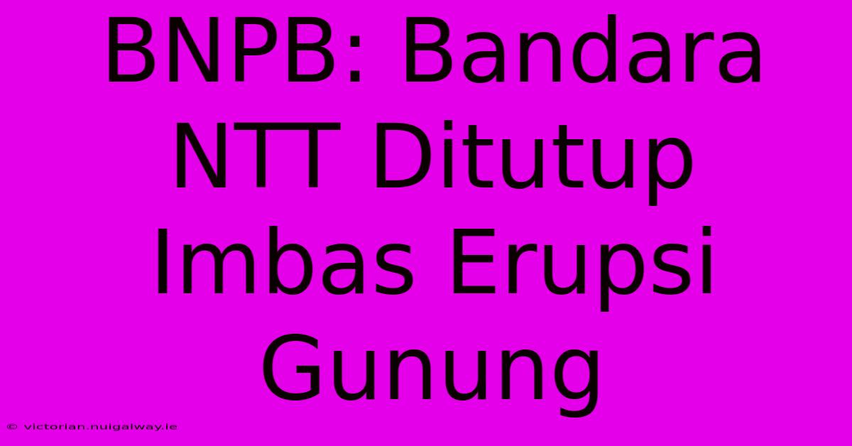 BNPB: Bandara NTT Ditutup Imbas Erupsi Gunung