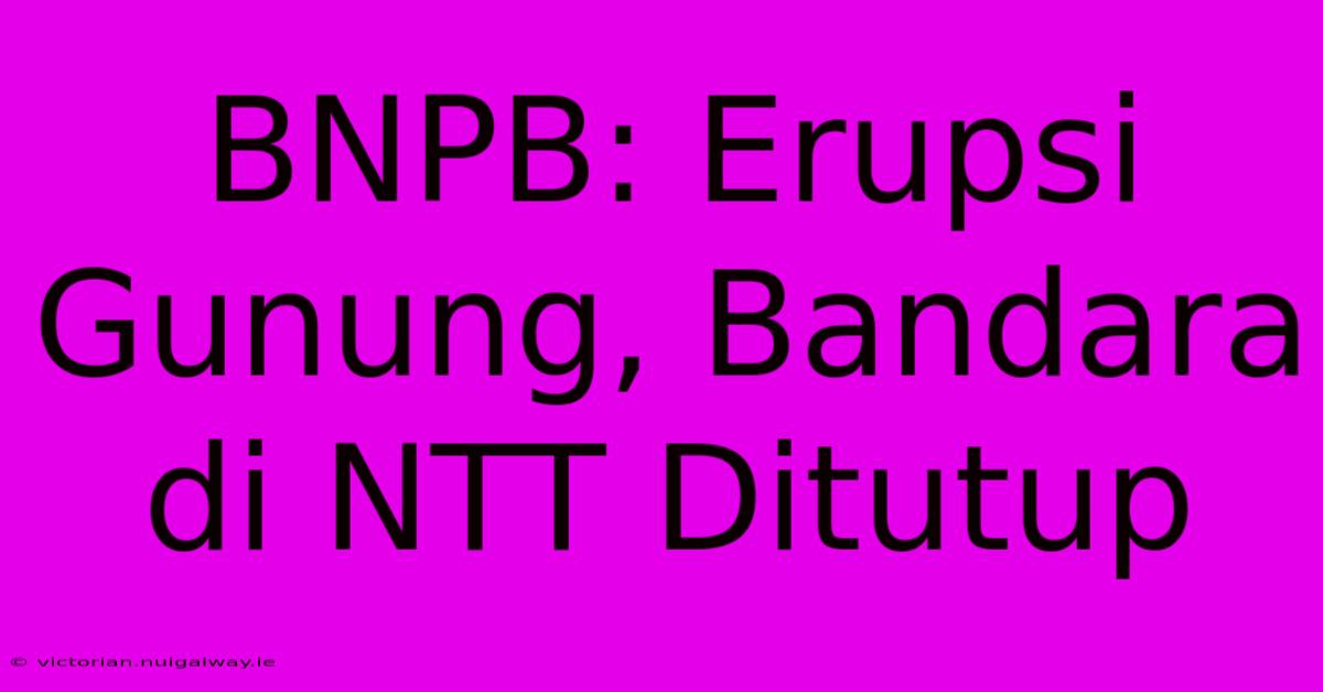 BNPB: Erupsi Gunung, Bandara Di NTT Ditutup 