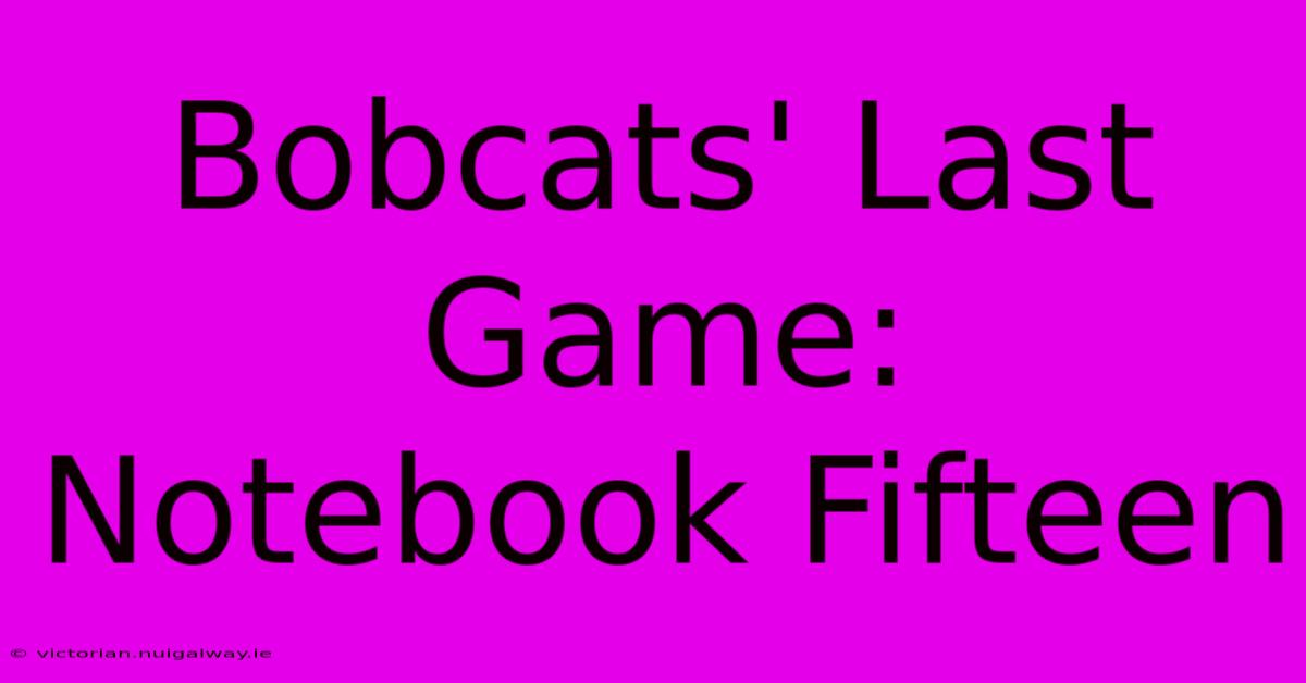 Bobcats' Last Game: Notebook Fifteen