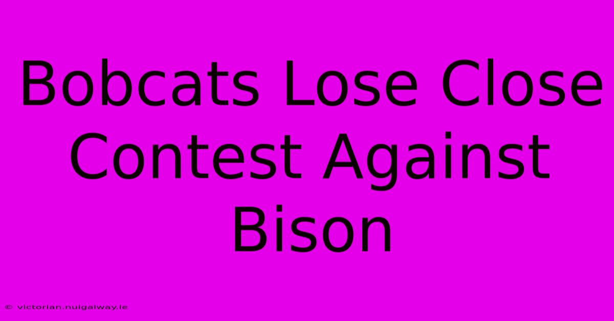 Bobcats Lose Close Contest Against Bison