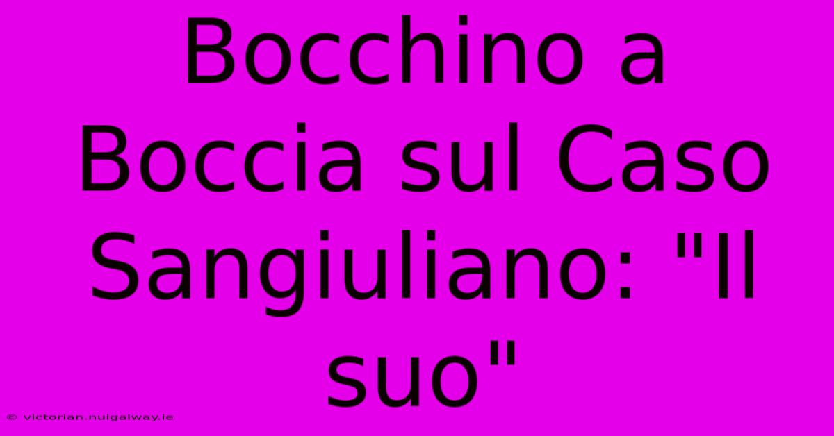 Bocchino A Boccia Sul Caso Sangiuliano: 