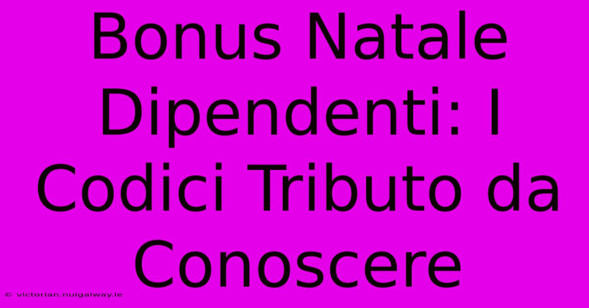 Bonus Natale Dipendenti: I Codici Tributo Da Conoscere