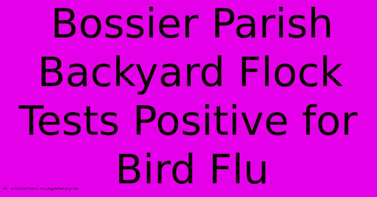 Bossier Parish Backyard Flock Tests Positive For Bird Flu