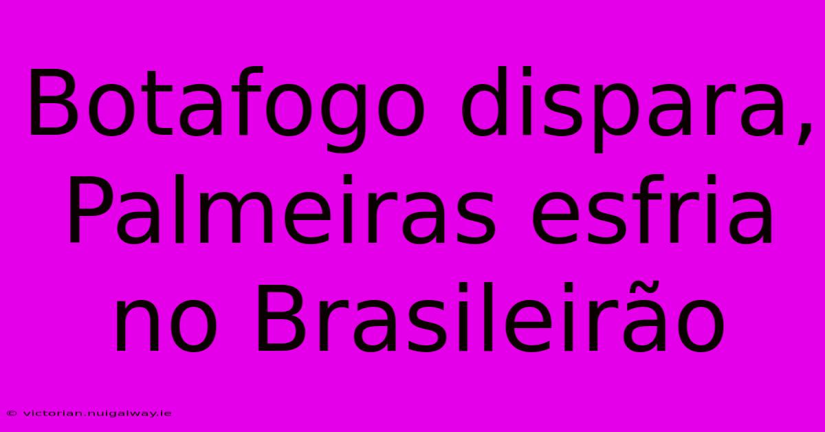 Botafogo Dispara, Palmeiras Esfria No Brasileirão 