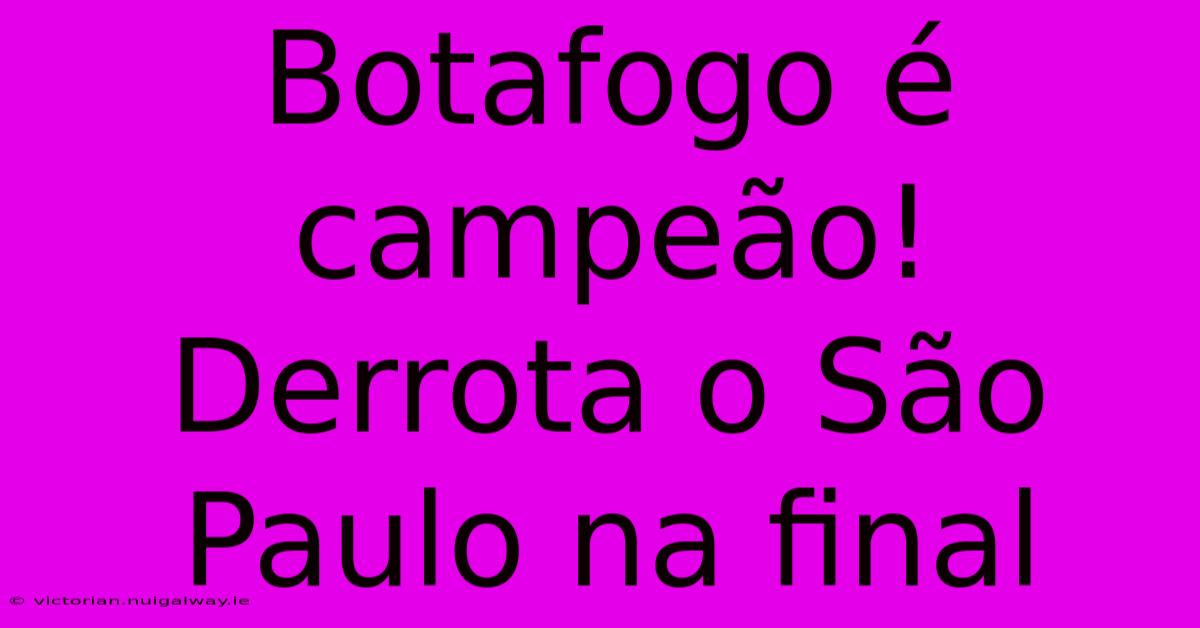 Botafogo É Campeão! Derrota O São Paulo Na Final