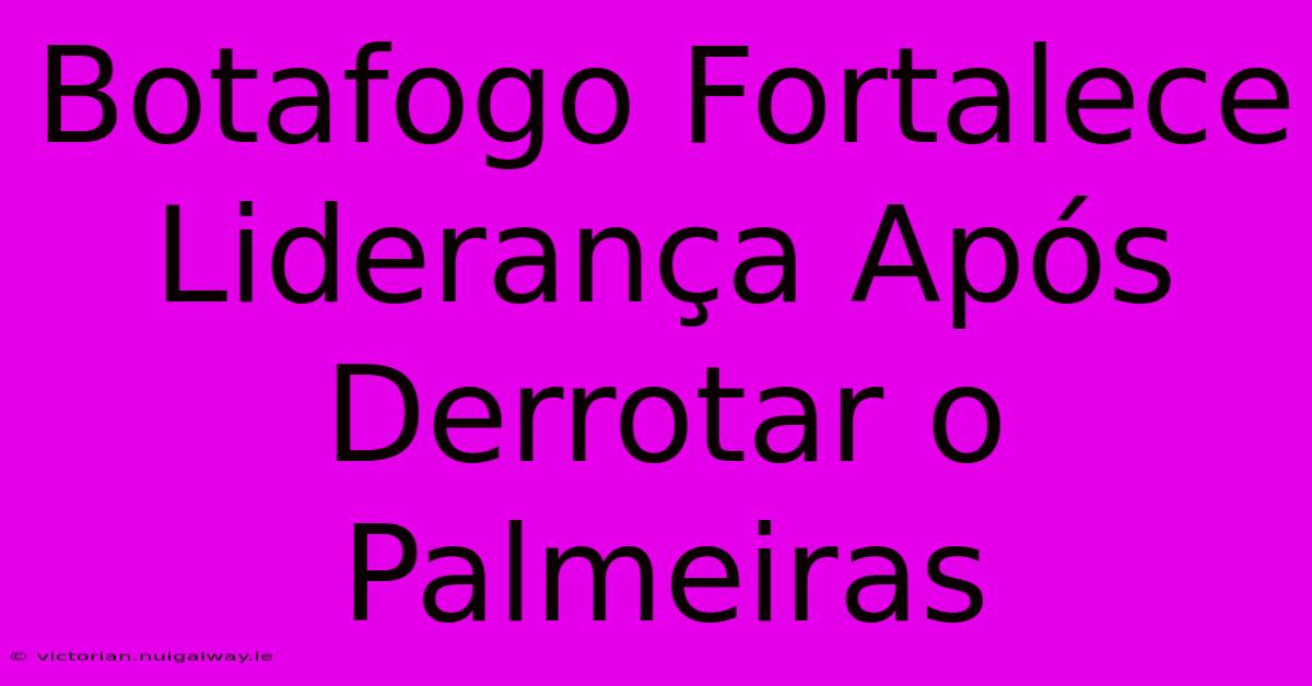 Botafogo Fortalece Liderança Após Derrotar O Palmeiras