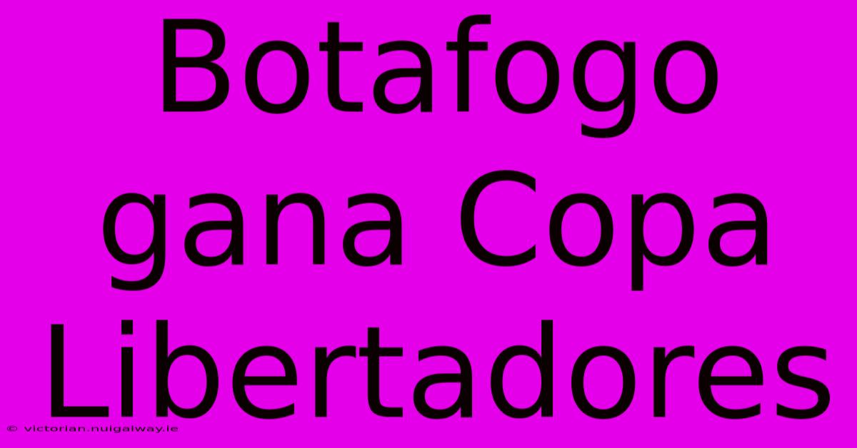 Botafogo Gana Copa Libertadores