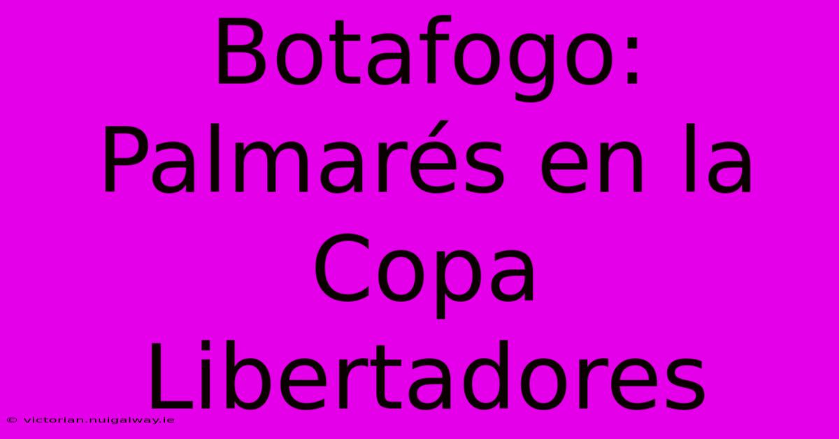 Botafogo: Palmarés En La Copa Libertadores