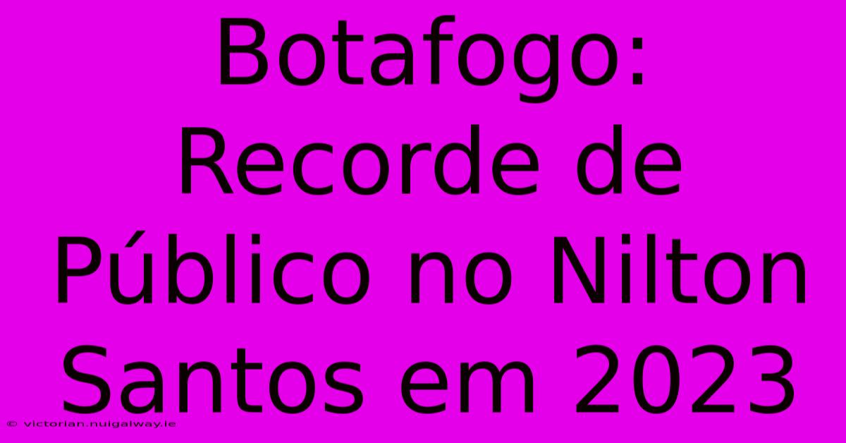 Botafogo: Recorde De Público No Nilton Santos Em 2023 