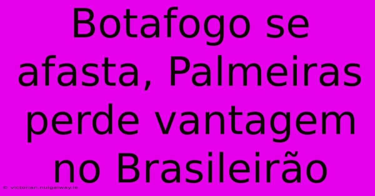 Botafogo Se Afasta, Palmeiras  Perde Vantagem No Brasileirão