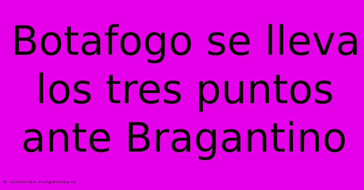 Botafogo Se Lleva Los Tres Puntos Ante Bragantino 