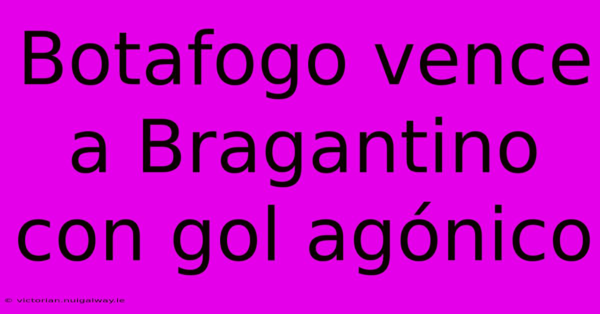 Botafogo Vence A Bragantino Con Gol Agónico