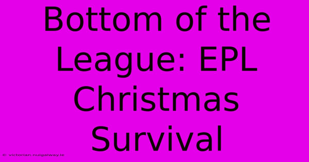 Bottom Of The League: EPL Christmas Survival