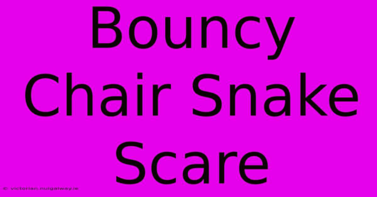 Bouncy Chair Snake Scare