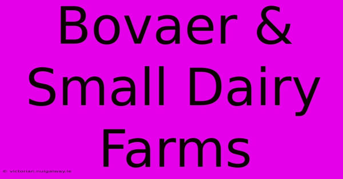 Bovaer & Small Dairy Farms