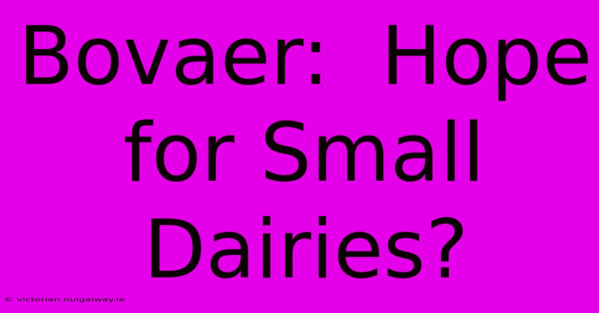 Bovaer:  Hope For Small Dairies?