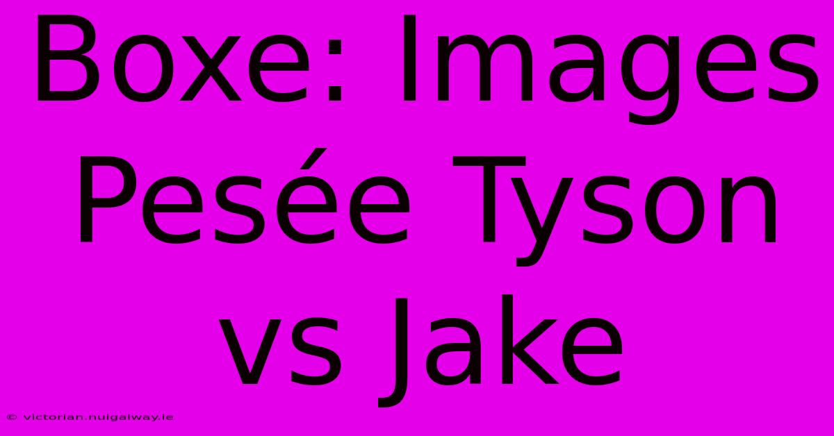 Boxe: Images Pesée Tyson Vs Jake