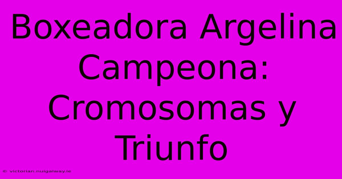 Boxeadora Argelina Campeona: Cromosomas Y Triunfo 