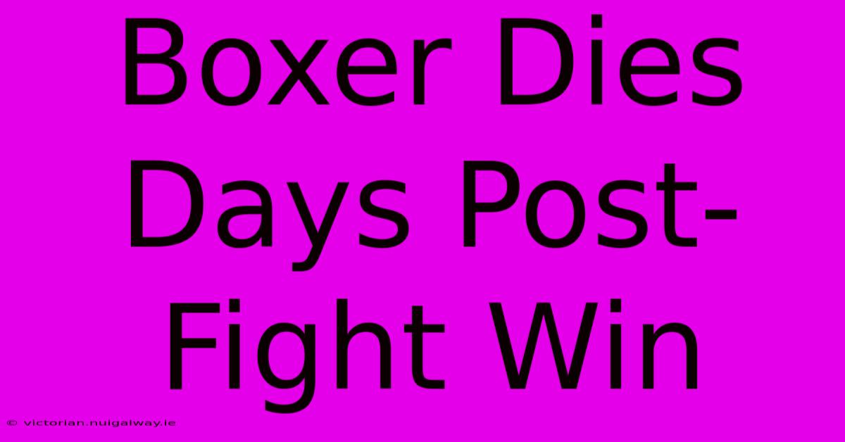 Boxer Dies Days Post-Fight Win