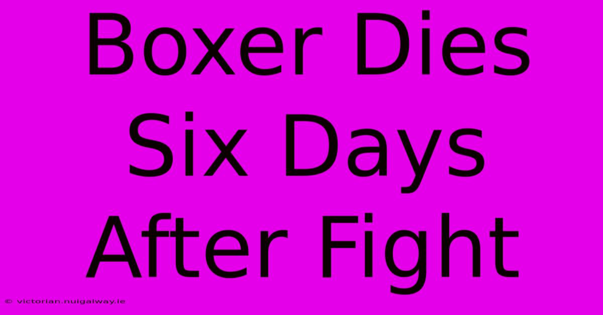 Boxer Dies Six Days After Fight