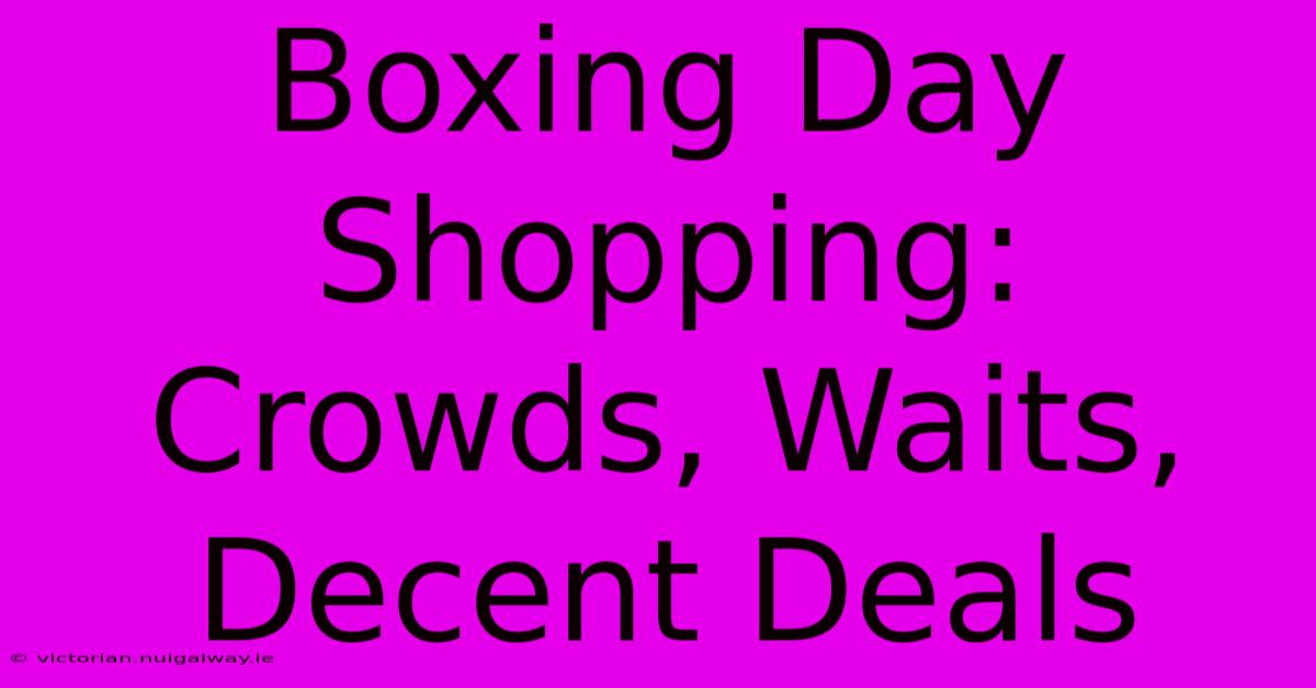 Boxing Day Shopping: Crowds, Waits, Decent Deals