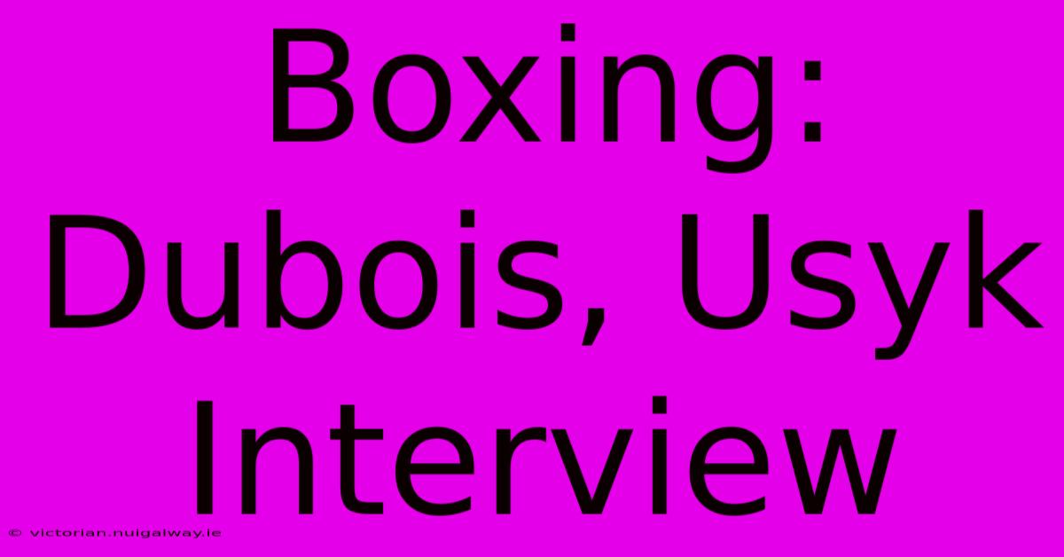 Boxing: Dubois, Usyk Interview