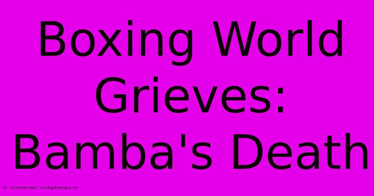 Boxing World Grieves: Bamba's Death