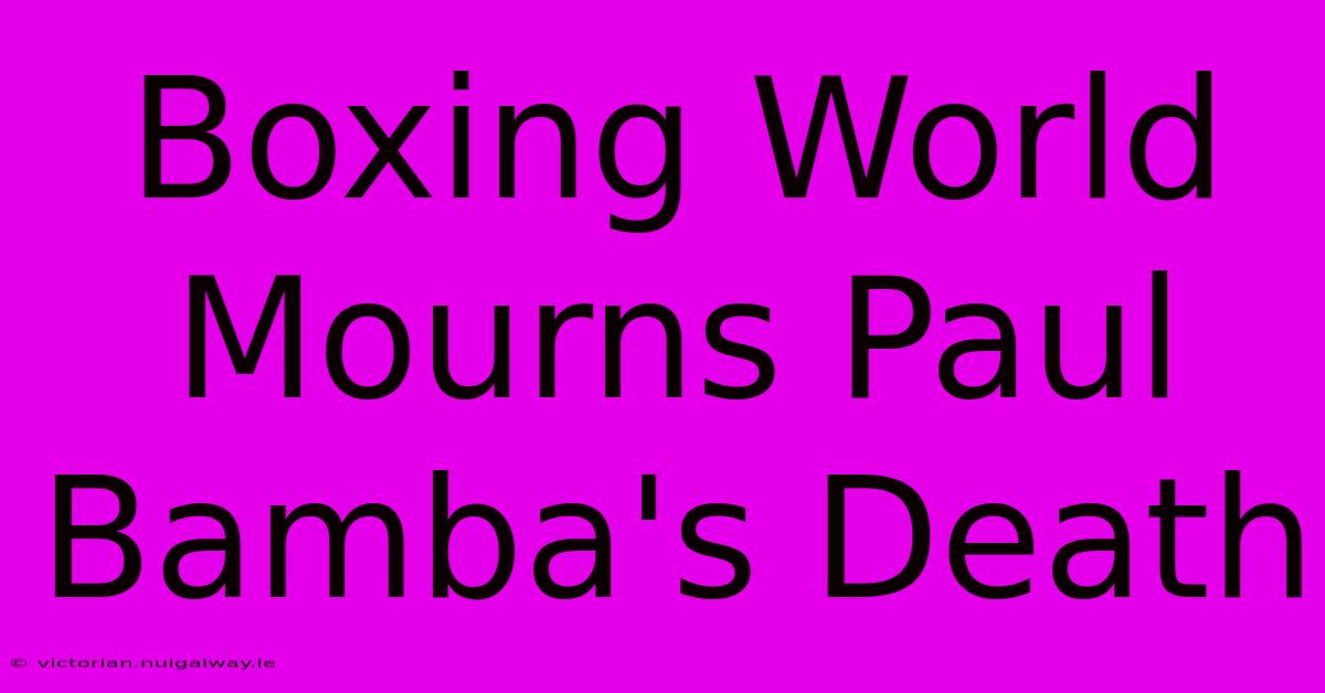 Boxing World Mourns Paul Bamba's Death