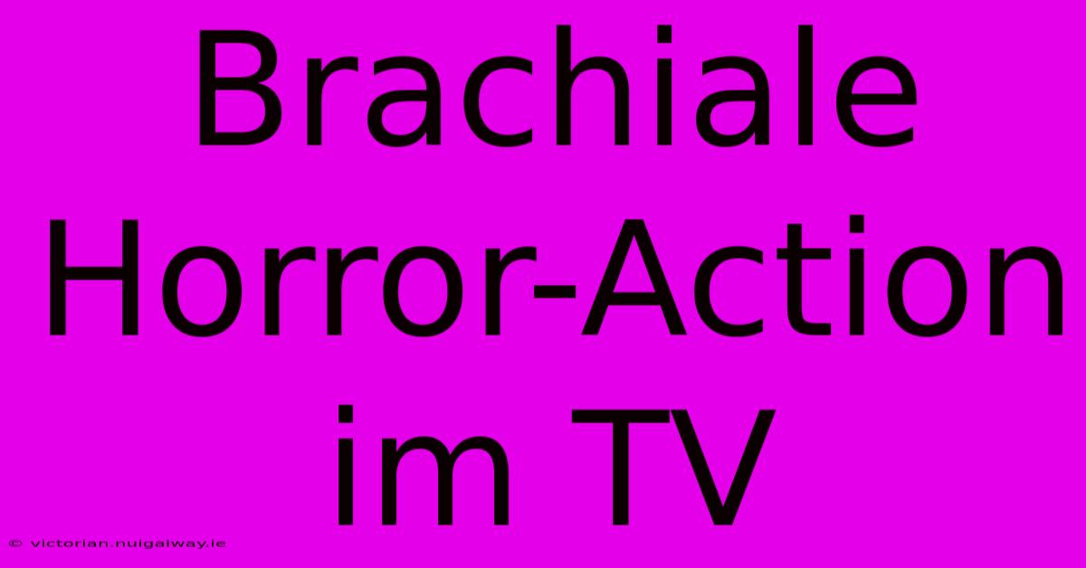 Brachiale Horror-Action Im TV