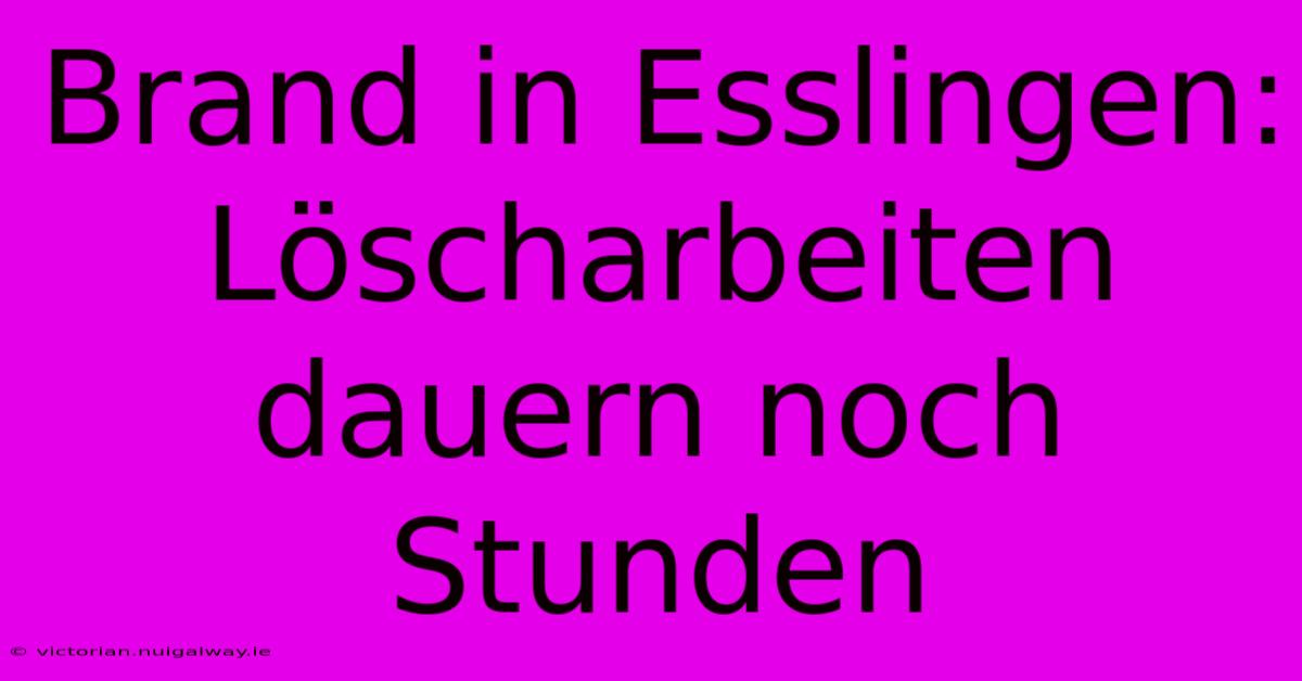 Brand In Esslingen: Löscharbeiten Dauern Noch Stunden