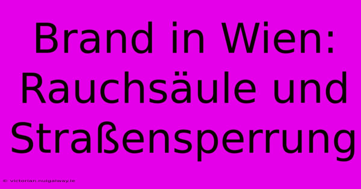 Brand In Wien: Rauchsäule Und Straßensperrung