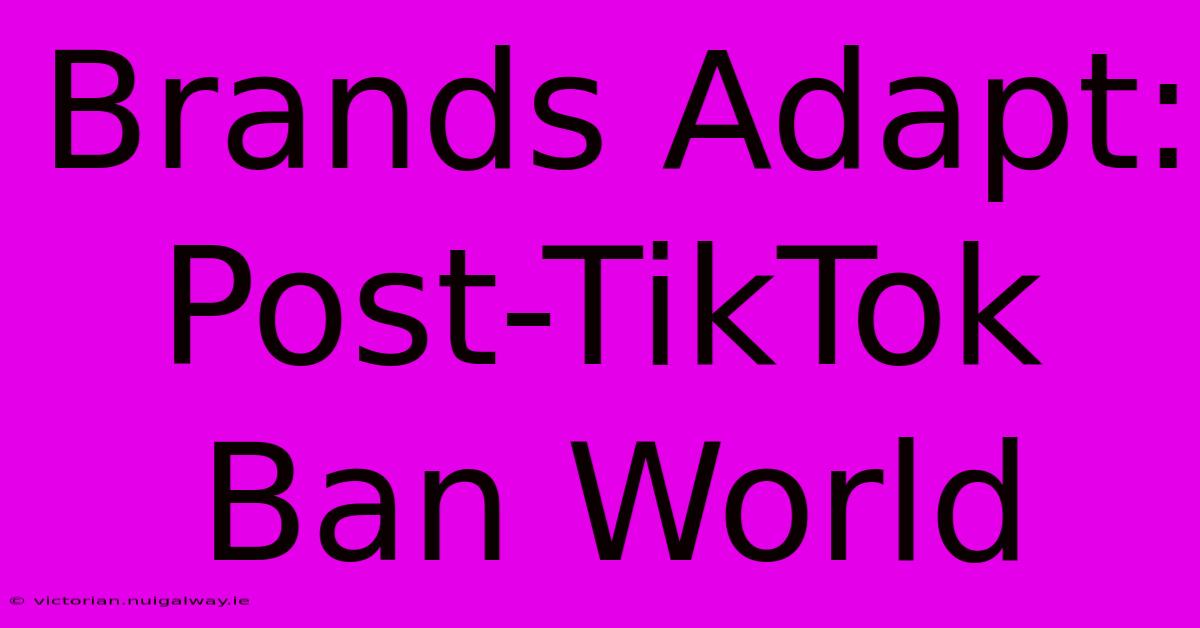 Brands Adapt: Post-TikTok Ban World