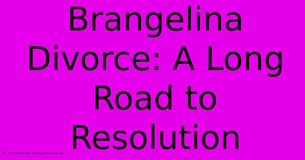 Brangelina Divorce: A Long Road To Resolution