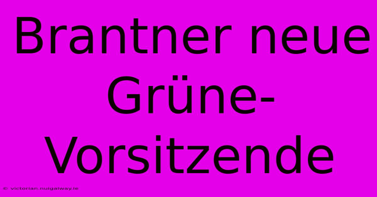 Brantner Neue Grüne-Vorsitzende