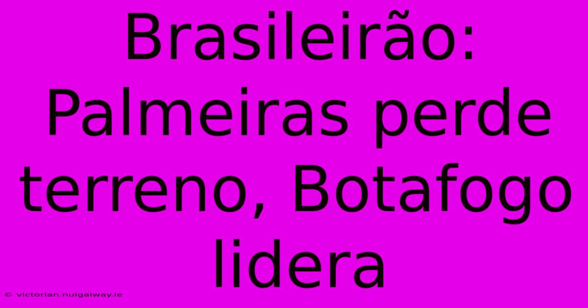 Brasileirão: Palmeiras Perde Terreno, Botafogo Lidera