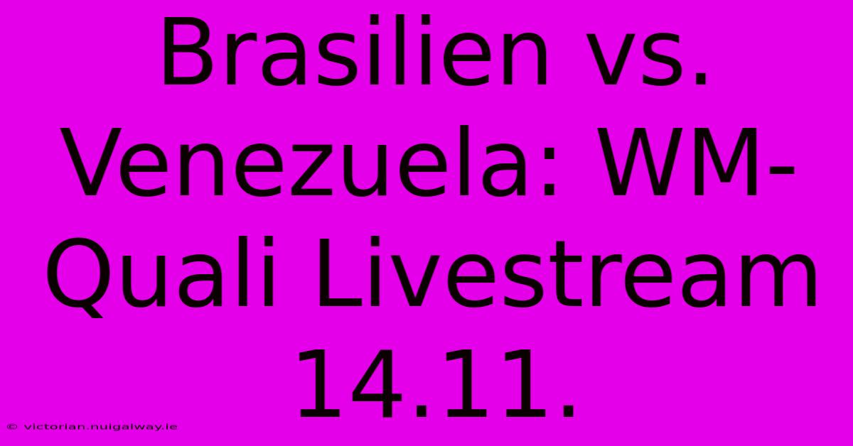 Brasilien Vs. Venezuela: WM-Quali Livestream 14.11.