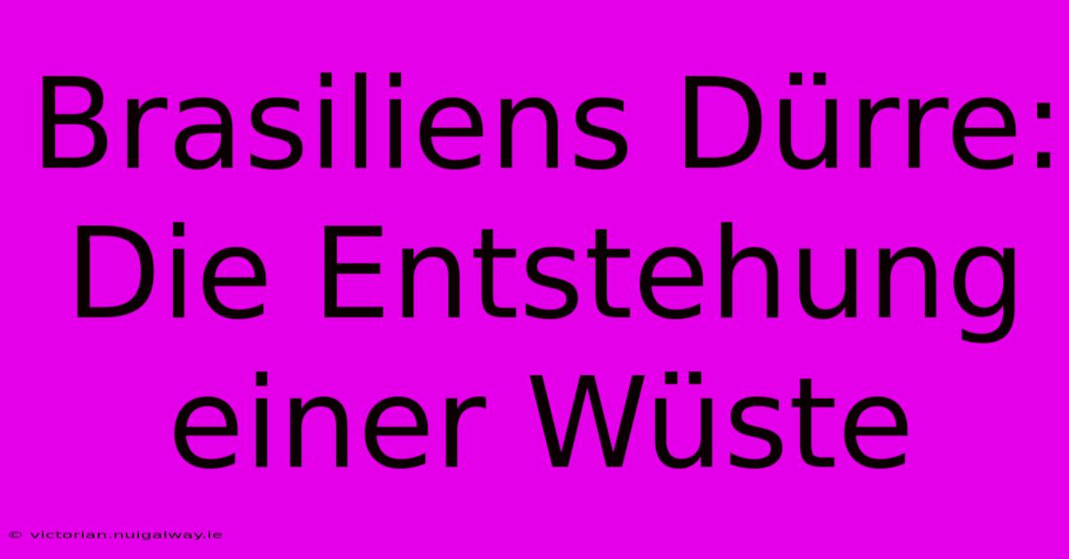 Brasiliens Dürre: Die Entstehung Einer Wüste