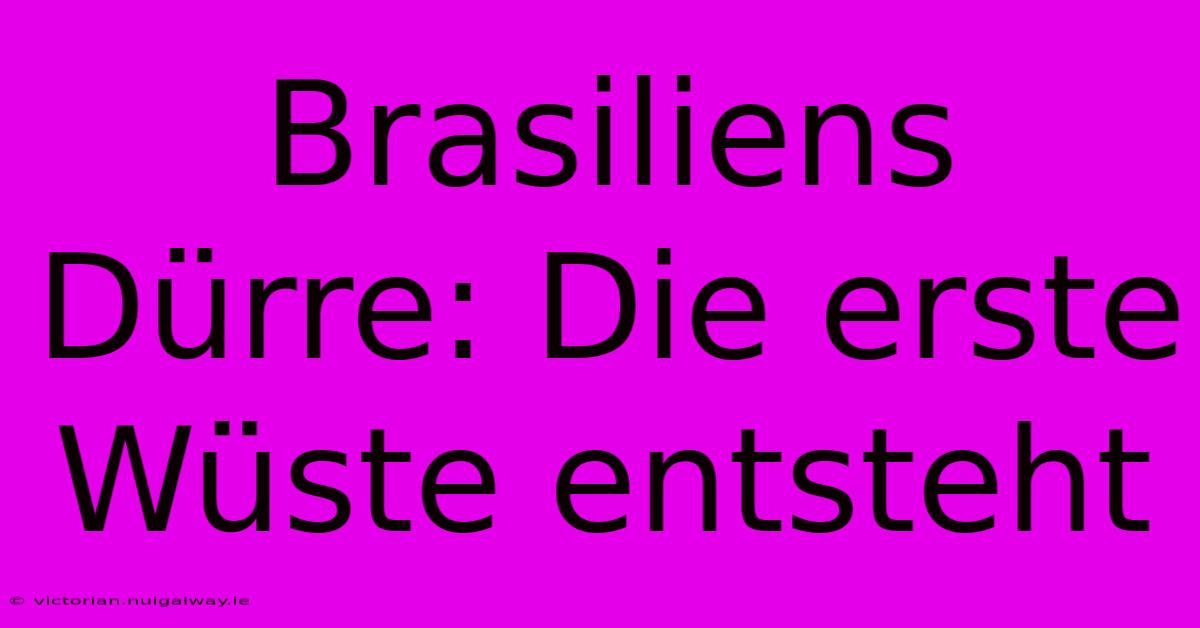 Brasiliens Dürre: Die Erste Wüste Entsteht