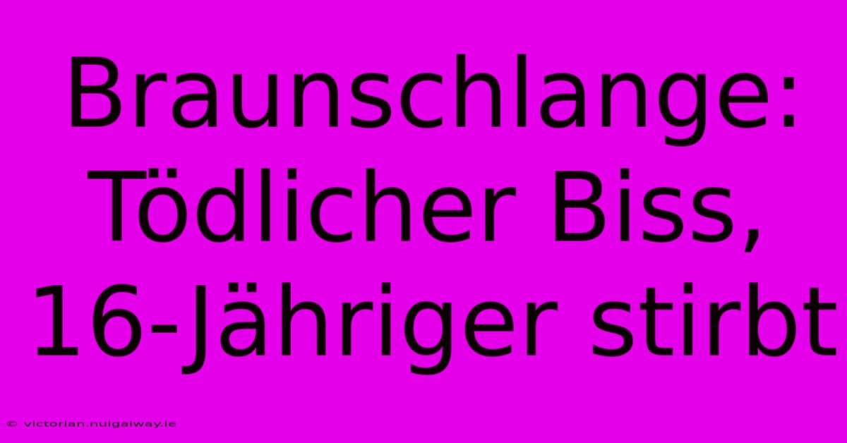 Braunschlange: Tödlicher Biss, 16-Jähriger Stirbt