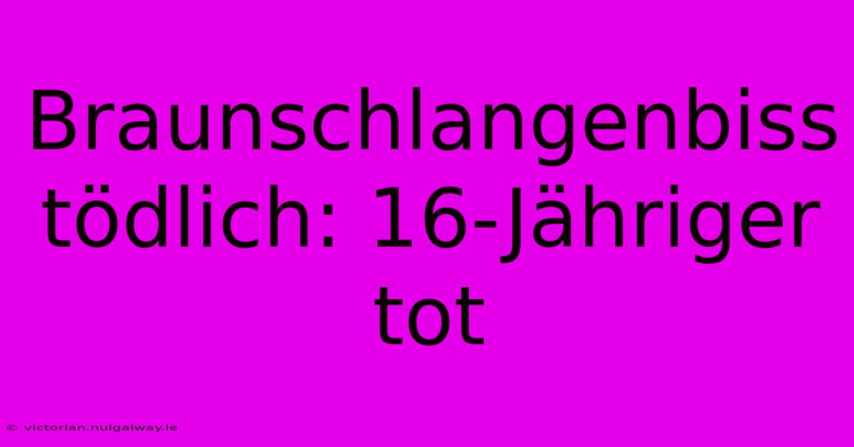 Braunschlangenbiss Tödlich: 16-Jähriger Tot