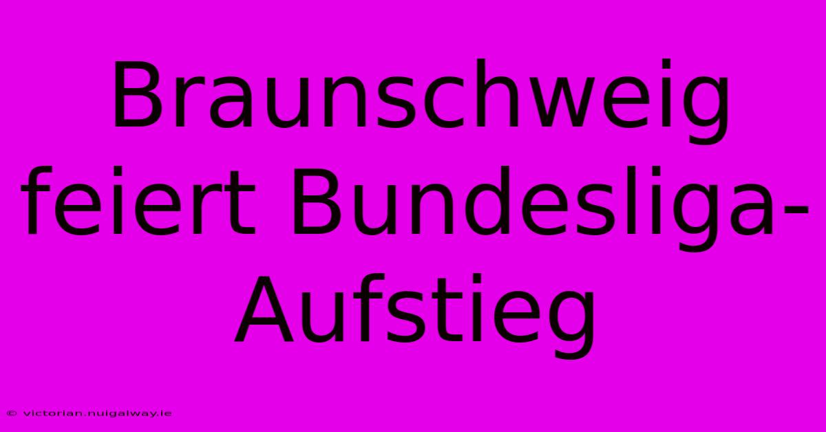 Braunschweig Feiert Bundesliga-Aufstieg 