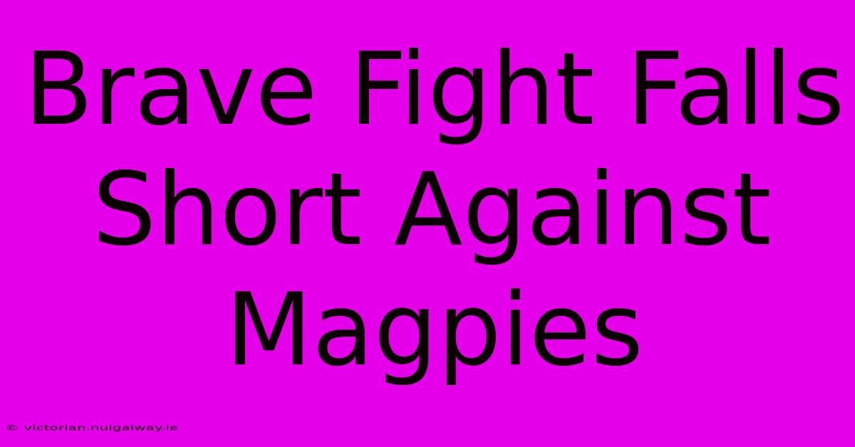 Brave Fight Falls Short Against Magpies