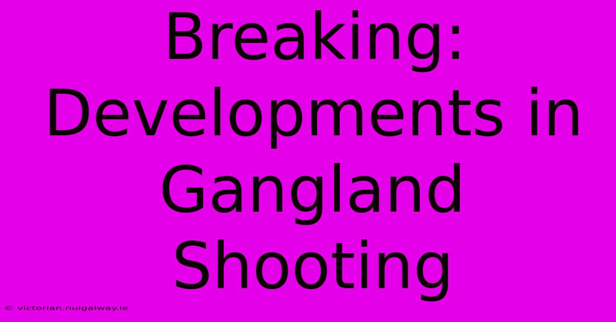 Breaking: Developments In Gangland Shooting