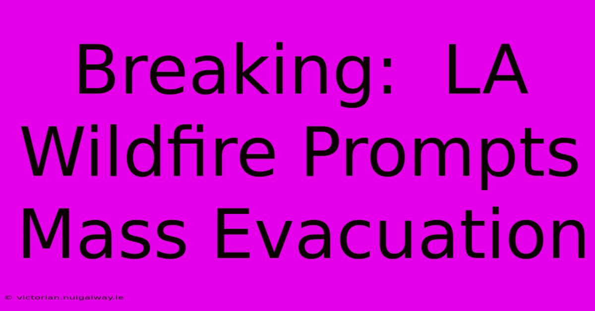 Breaking:  LA Wildfire Prompts Mass Evacuation