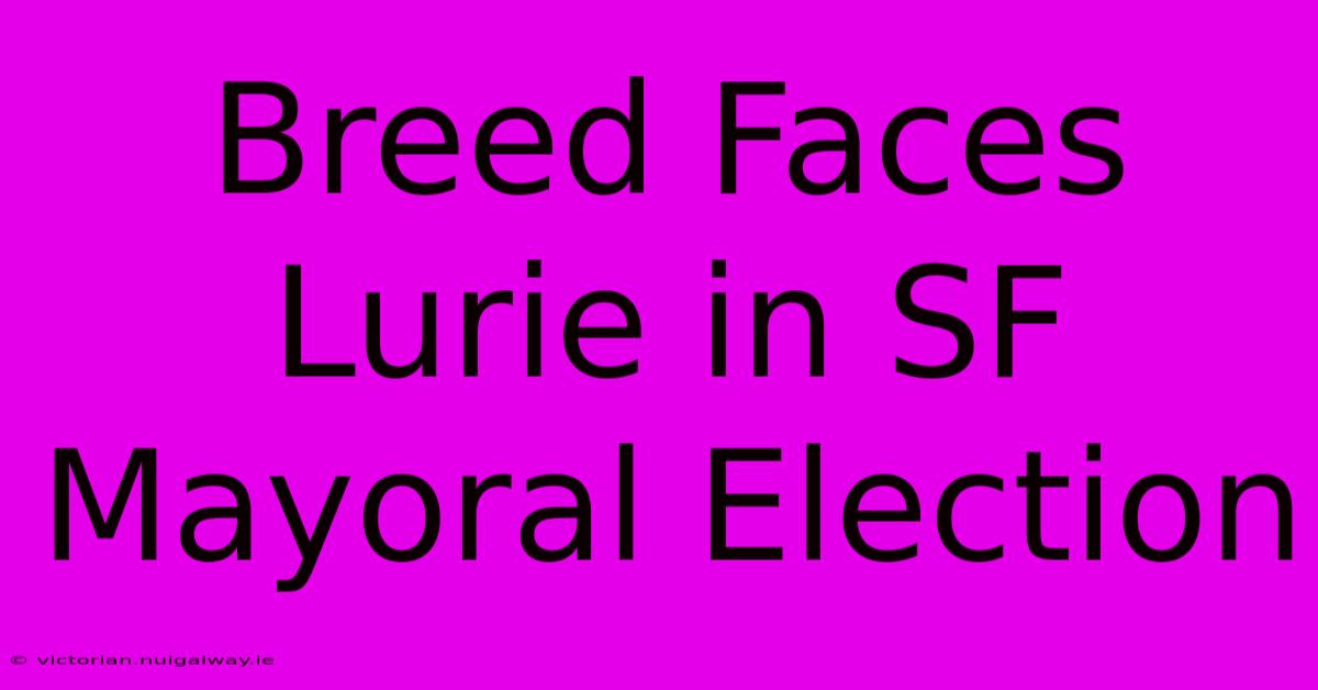 Breed Faces Lurie In SF Mayoral Election